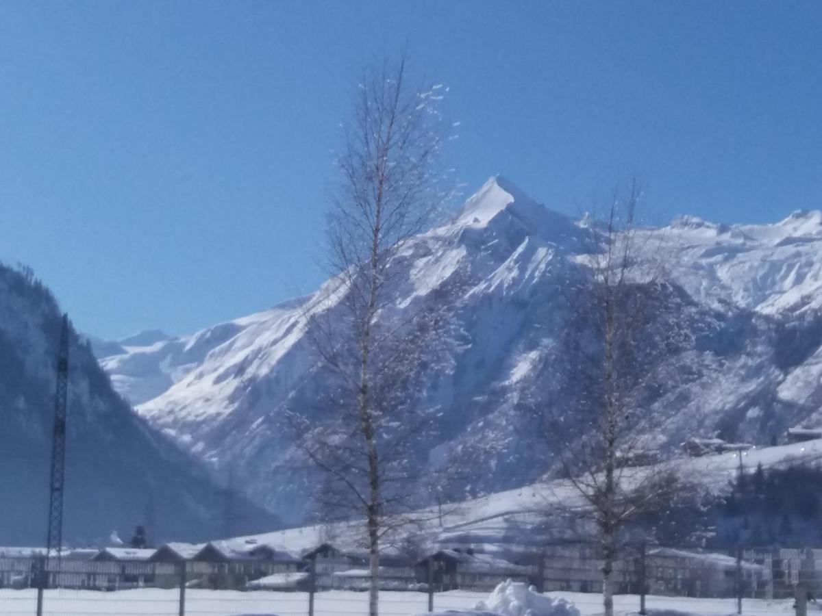 Alp-in